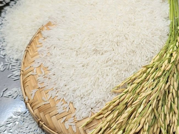 Cambodia Marks First Waterway Rice Export to Philippines With 10,000-Tonne Shipment