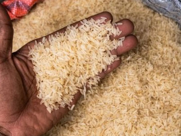 Guinea Partners With China and Brazil to Accelerate Rice Self-Sufficiency