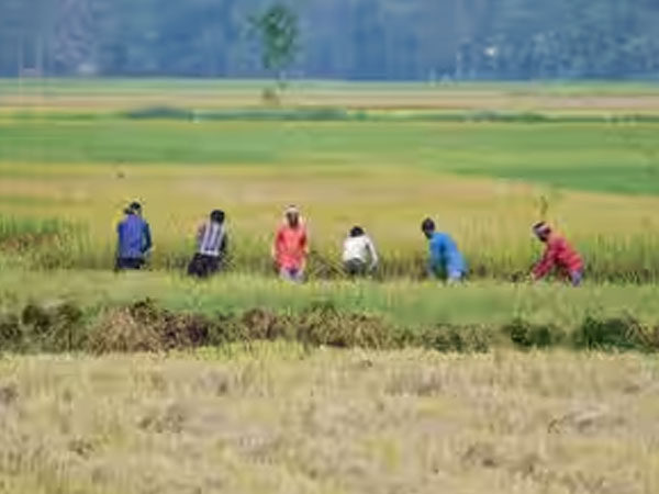 India's monsoon deficit widens to 15%, strengthening El Nino poses farm risk: Report