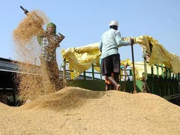 Punjab rice millers seek eased norms, say past stock higher than new policy estimates