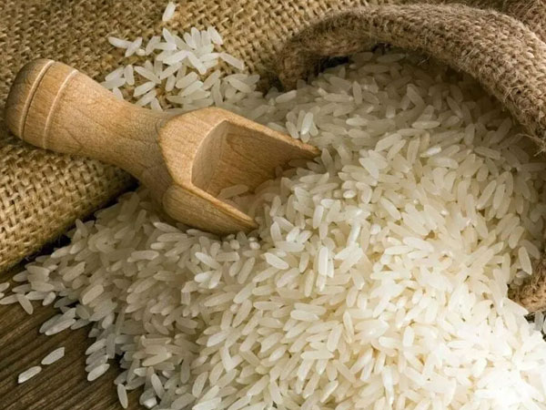 Rice exports: insure the trade, not the freight