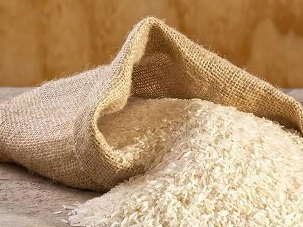Value-added rice products offer new growth opportunities for Indian industry: IREF