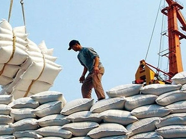 Philippines and China lead markets for Vietnam's rice exports