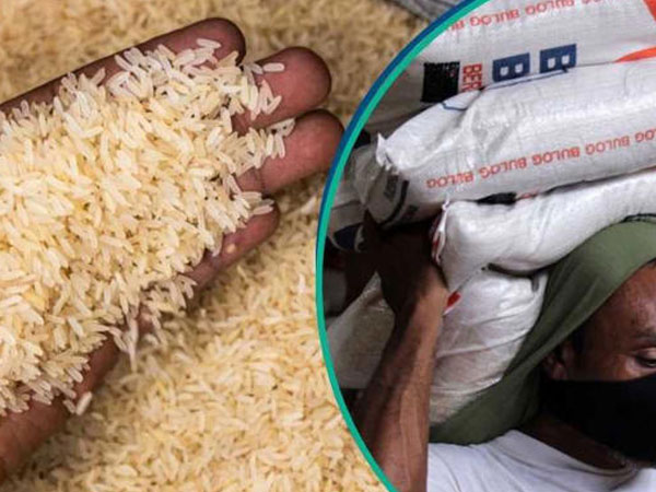 Rice millers raise alarm as imported rice threatens local producers