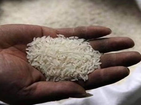 ‘Baseless and anti-development’: ICAR slams GM-Free India’s claims on rice data