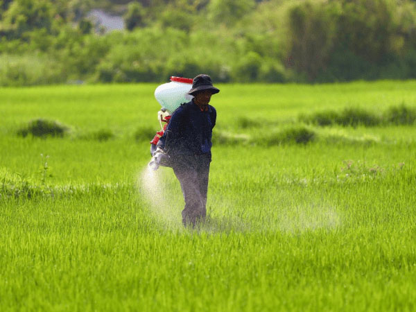 Centre approves Rs 38,000 crore fertiliser subsidy
