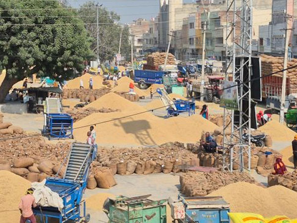 Paddy smuggling from other states, another headache for Punjab amid slow arrivals