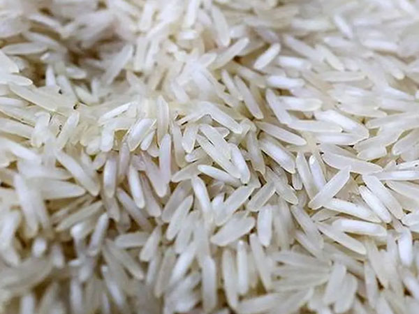 PhilMech: 151 rice processing systems installed