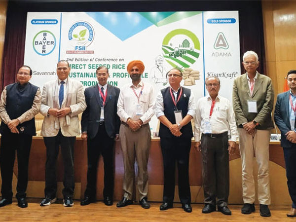 Direct seeded rice can cut water use by 35%, lower costs by Rs 14,000 per hectare