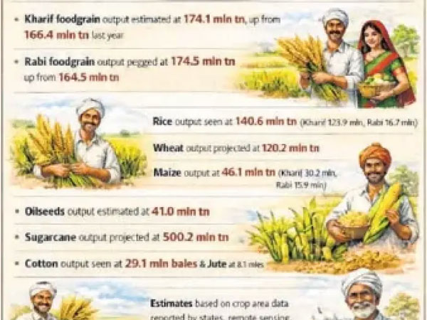 Wheat, rice, maize harvest boosts foodgrain output