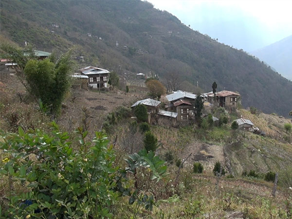 Trashi Yangtse farmers continue rice farming despite wildlife losses