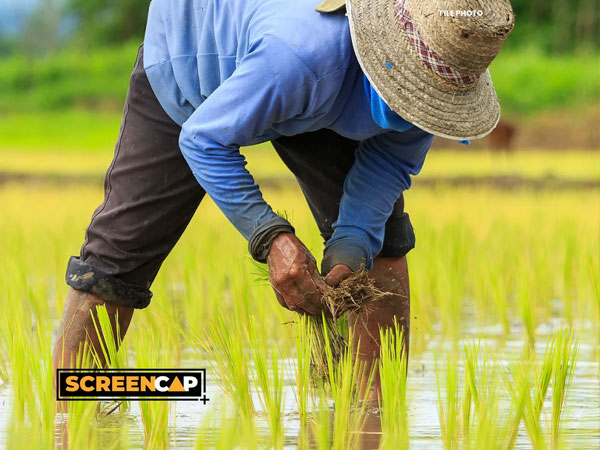 PH Launches $1-B Agriculture Modernization Program Backed by World Bank