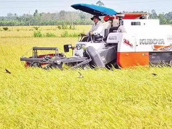 Connecting and developing material zones for sustainable agricultural product consumption