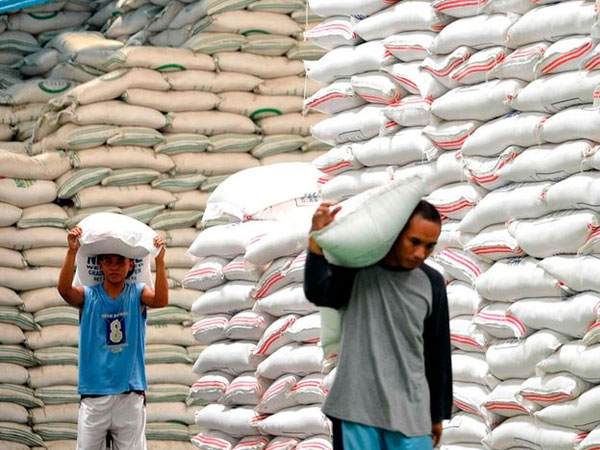 Lawmakers push for a rice bailout amid import surge