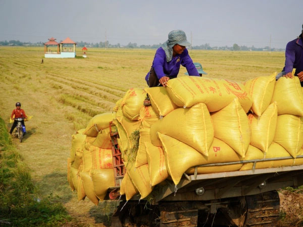 Vietnam deepens role in ASEAN supply chains beyond rice exports