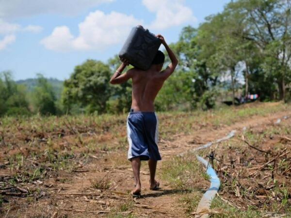 DA to double support in wetter rice areas as super El Niño looms