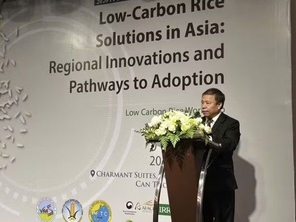 Science-driven solutions key to building low-emission rice sector: experts