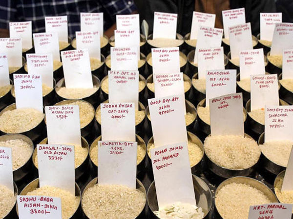 BIRC 2026: Global rice meet in Delhi to feature 9 experience zones