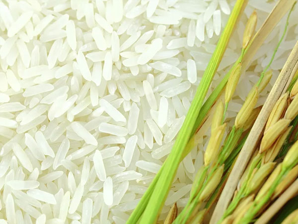 USA Rice’s Mexico trade mission reinforces relationships