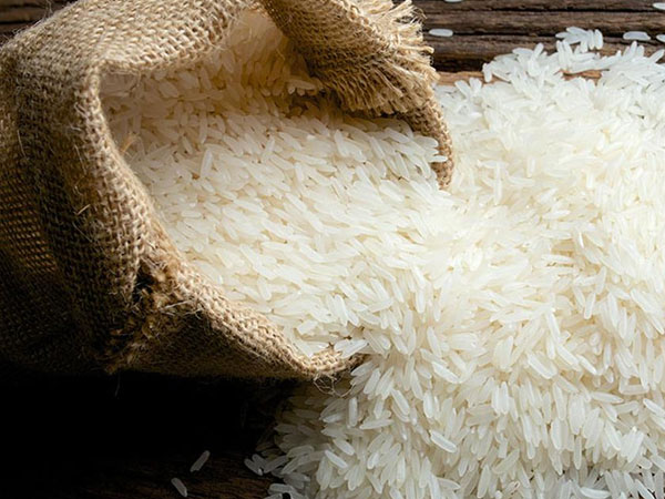 Agri Business Indian rice procurement tops 48 lakh tonnes on early harvest
