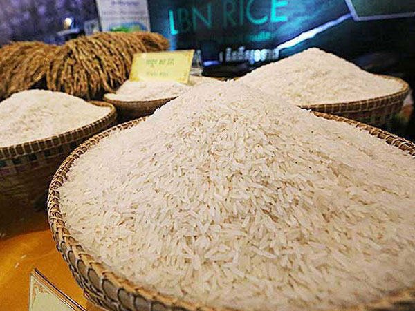 Farm damage due to typhoons hit ₱7.7B—DA