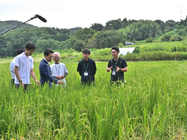 Race to secure 2025 rice crop heats up, lifting prices
