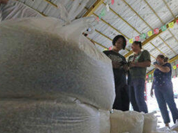 Rice price monitoring stepped up as import ban approaches 60 days
