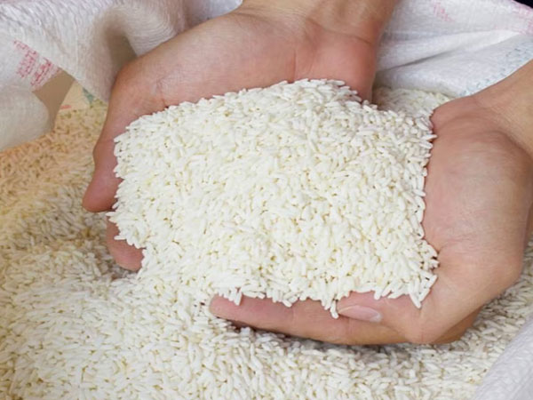 Pooled efforts urged to promote ASEAN rice industry development