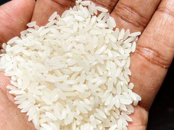 Basmati rice demand spikes despite high prices amid West Asia tensions: Aeroplane’s Rahul Suri
