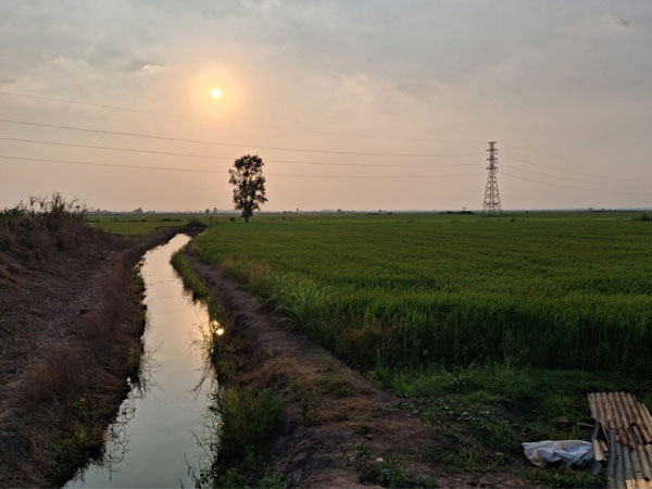 In Thailand’s rice paddies, rising petrol prices spell chaos for farmers