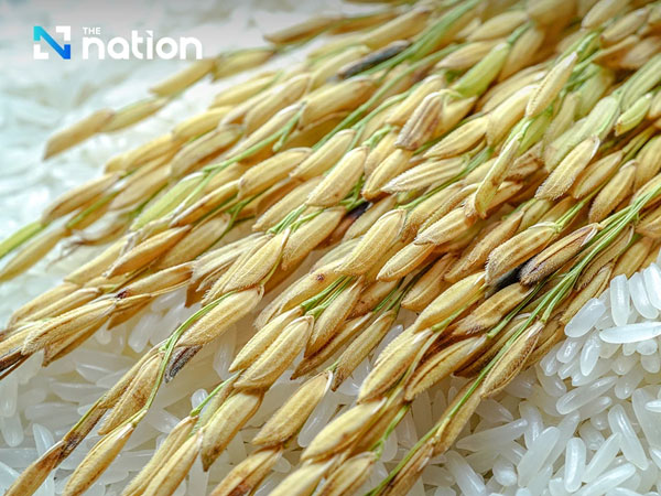 Middle East conflict threatens Thailand's rice export target