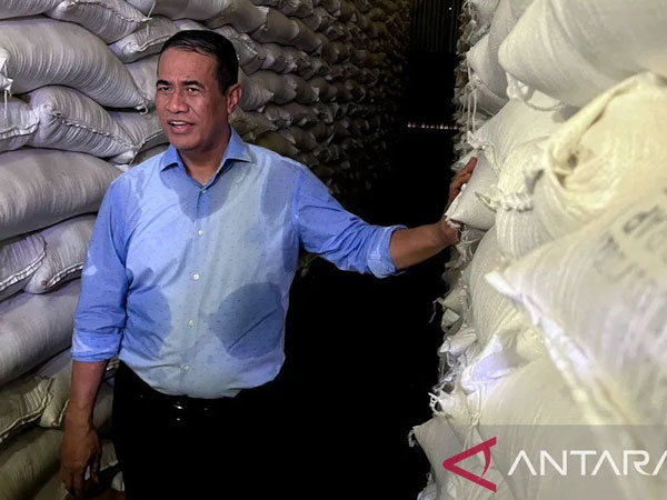 Indonesia's rice reserves secure at 4.5 million tons: Minister