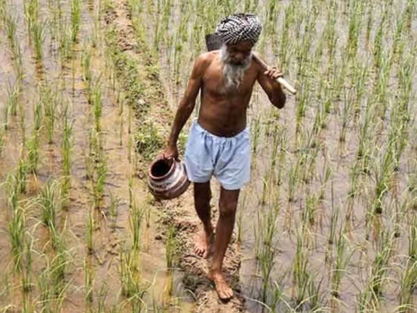 Oil for rice: Punjab exporters call for barter deal with Iran amid trade disruptions