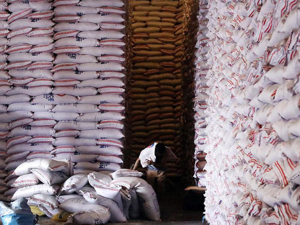 PH rice imports to climb, but price-index tariff system could temper growth — USDA