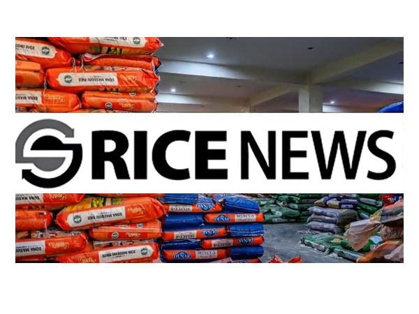 Q1/26 Rice Market Brief