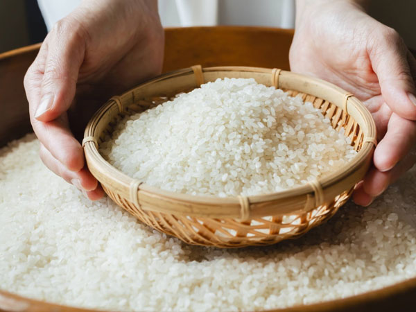 Japan voices concern over rice imports in white paper