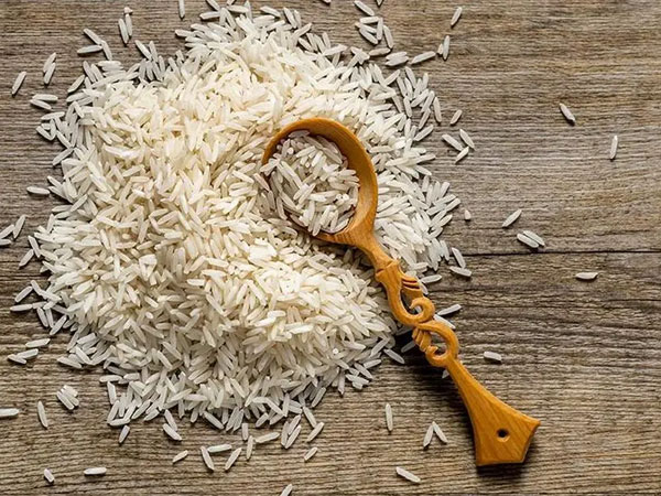 Malaysian farmers, environmental groups call for rejection of GMO rice trial