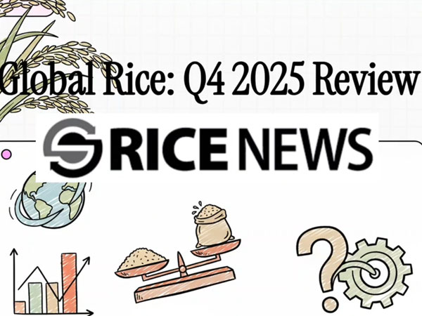 Global Rice: Q4 2025 Review
