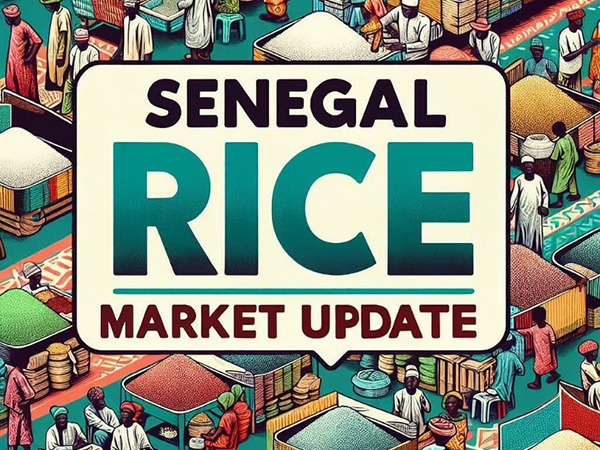 Senegal import demand stable despite self sufficiency push – with competitive global markets showing in purchases